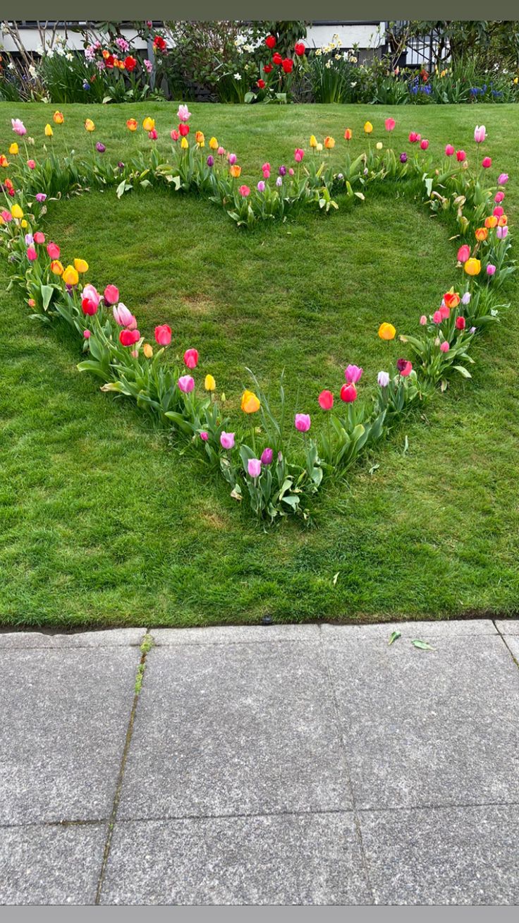 a heart shaped arrangement of tulips and daffodils in the grass