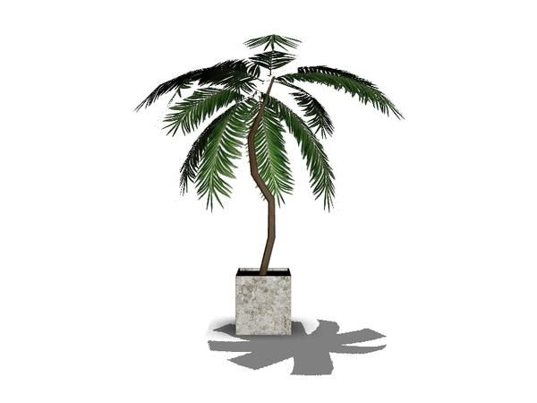 a small palm tree sitting on top of a cement block in front of a white background