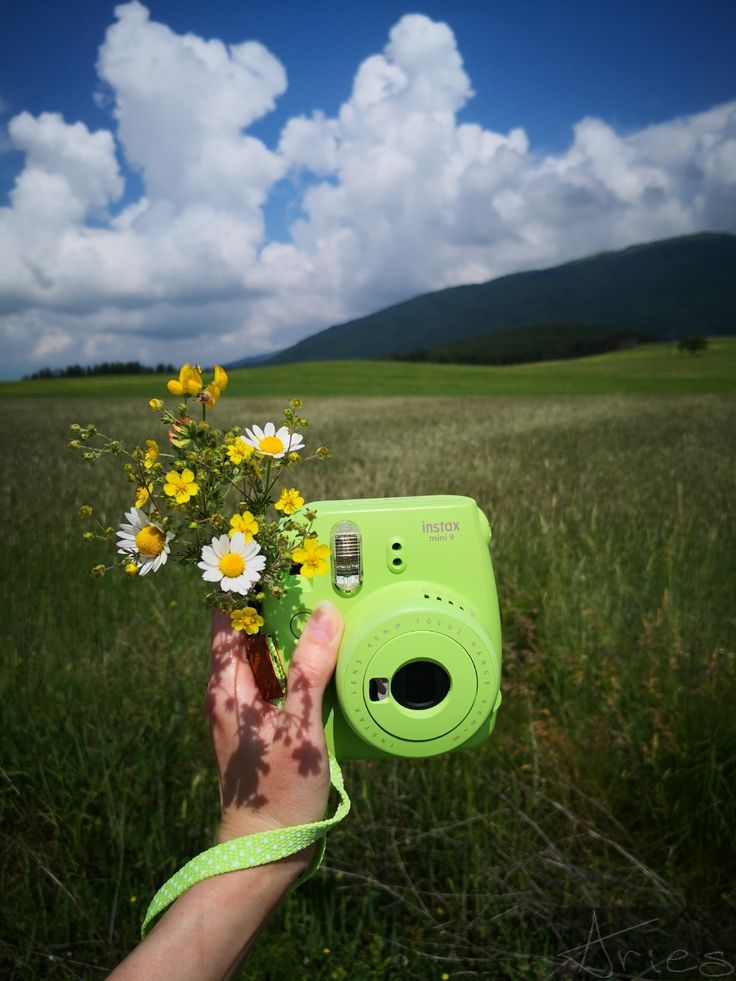 a person holding up a camera with daisies in front of them on a field