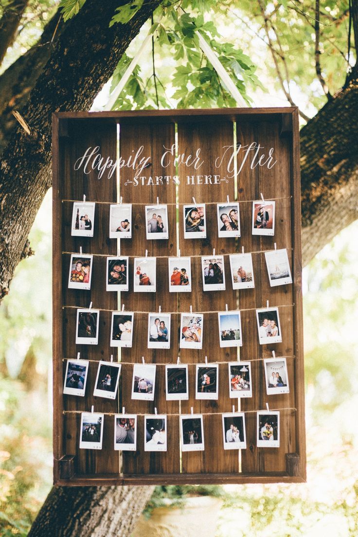 a wooden sign hanging from a tree with photos pinned to it