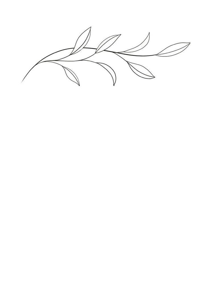 a black and white drawing of a branch with leaves on it's end, against a white background