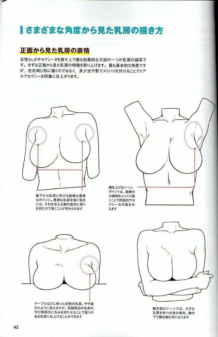 Drawing Chest Female, Anatomy Breast Drawing References, Female Chest Drawing Reference, Chest Shading Reference, Female Breast Anatomy Drawing, Breast Reference Drawing, Breast Drawing Template, Chest Drawing Reference Female, Female Chest Drawing