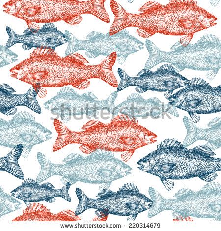 a flock of fish swimming in the ocean on a white background with red and blue colors