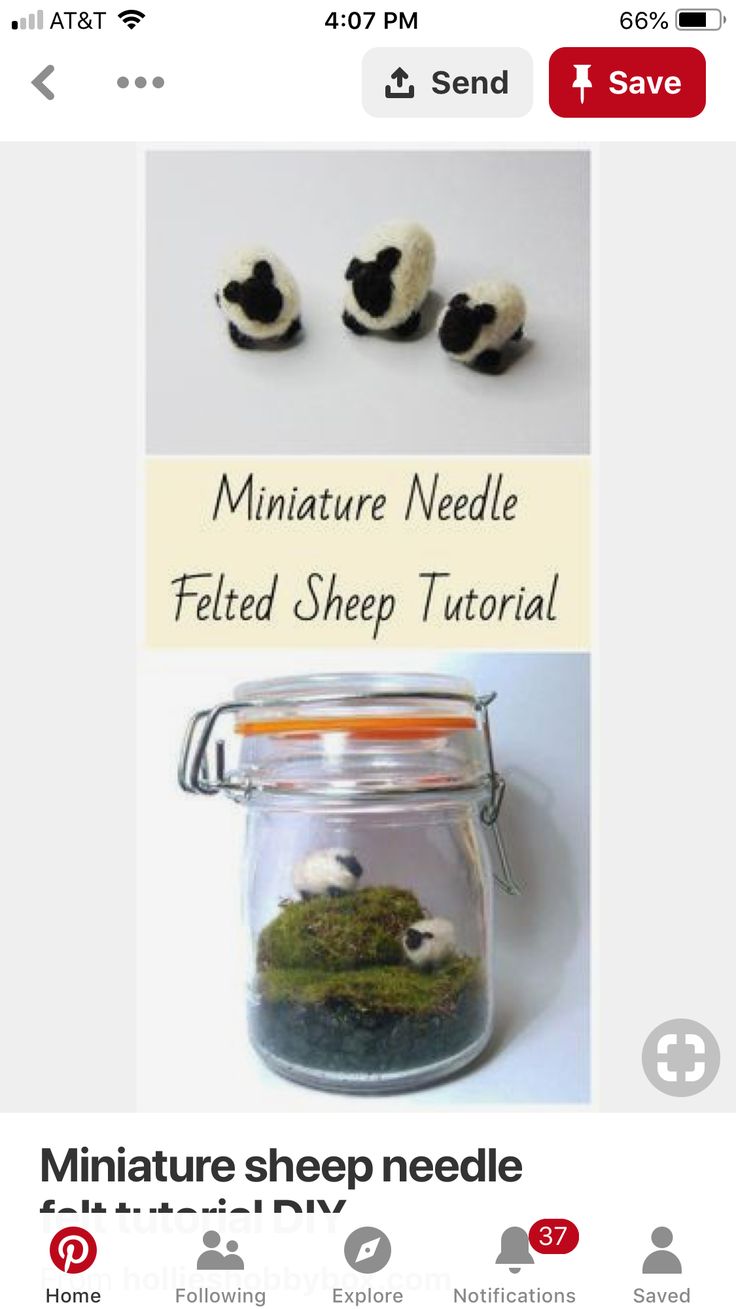 an image of miniature sheep in a glass jar with moss on the top and below