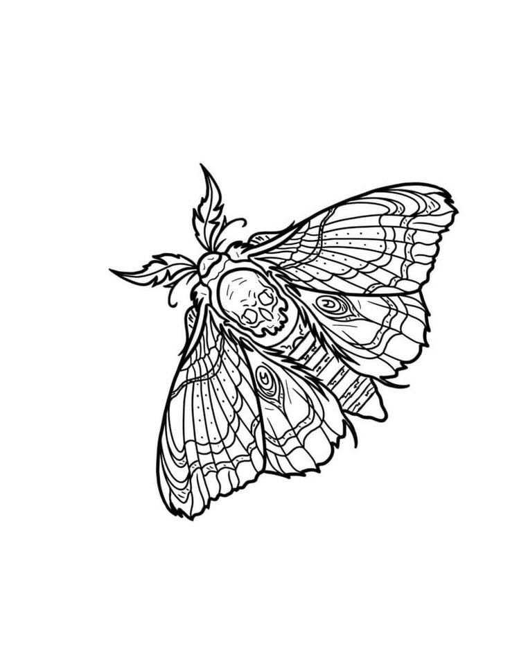 a black and white drawing of a butterfly