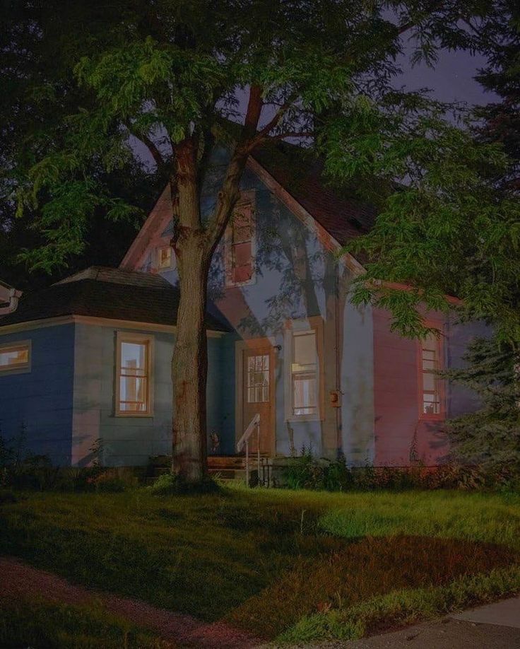 a blue house sitting next to a tree on a lush green field at night time