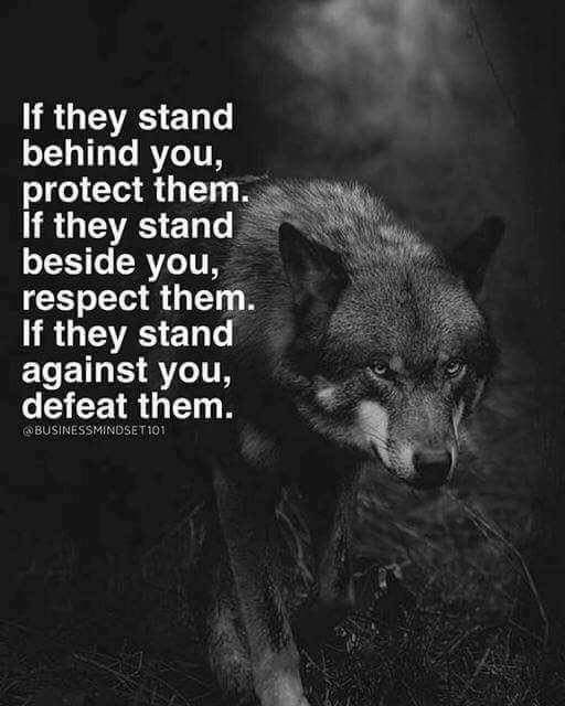 a wolf with the quote if they stand behind you, protect them