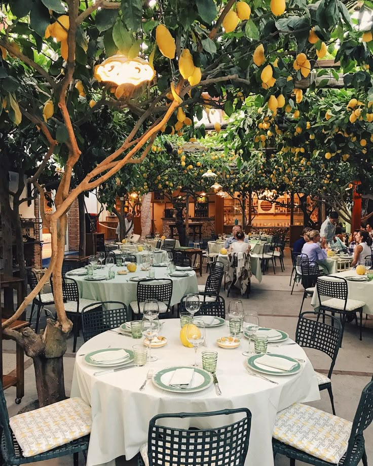 an outdoor dining area with tables, chairs and lemons hanging from the trees above