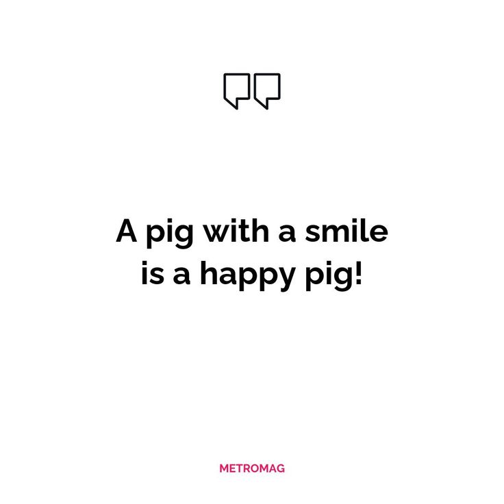 a pig with a smile is a happy pig