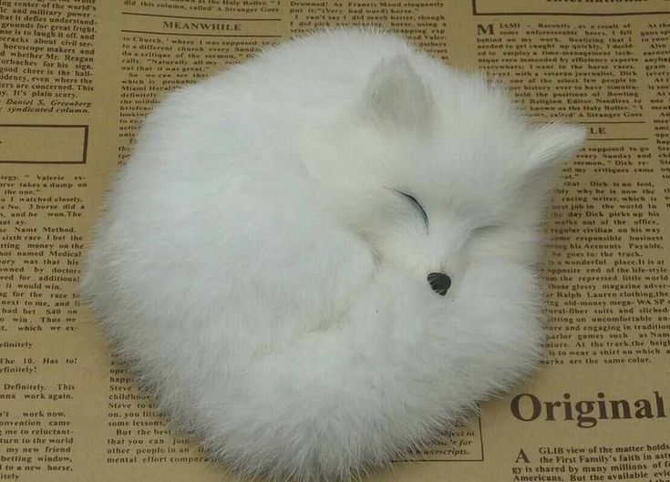 a small white furry animal sleeping on top of a news paper with it's eyes closed