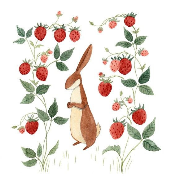 a drawing of a rabbit standing in front of strawberries