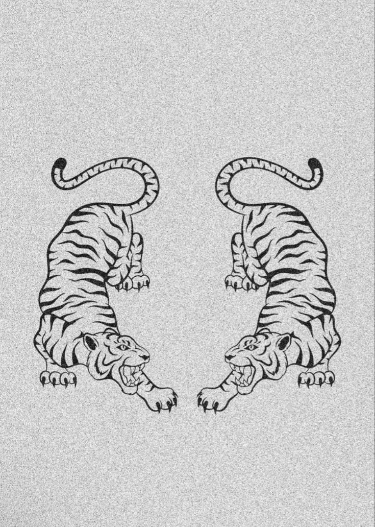 two tigers facing each other with their tails crossed