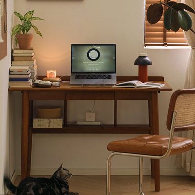 a cat laying on the floor in front of a desk with a laptop and books