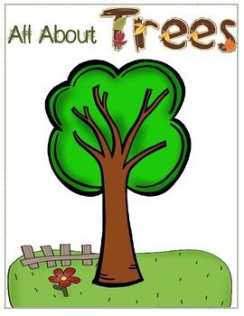 Tree Activity For Preschool, Parts Of A Tree, Pictures Of Trees, October Song, Bulletin Board Tree, About Trees, Picture Tree, Wind And Rain, Picture Cards