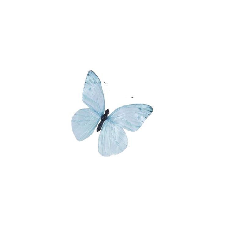 a blue butterfly flying through the air