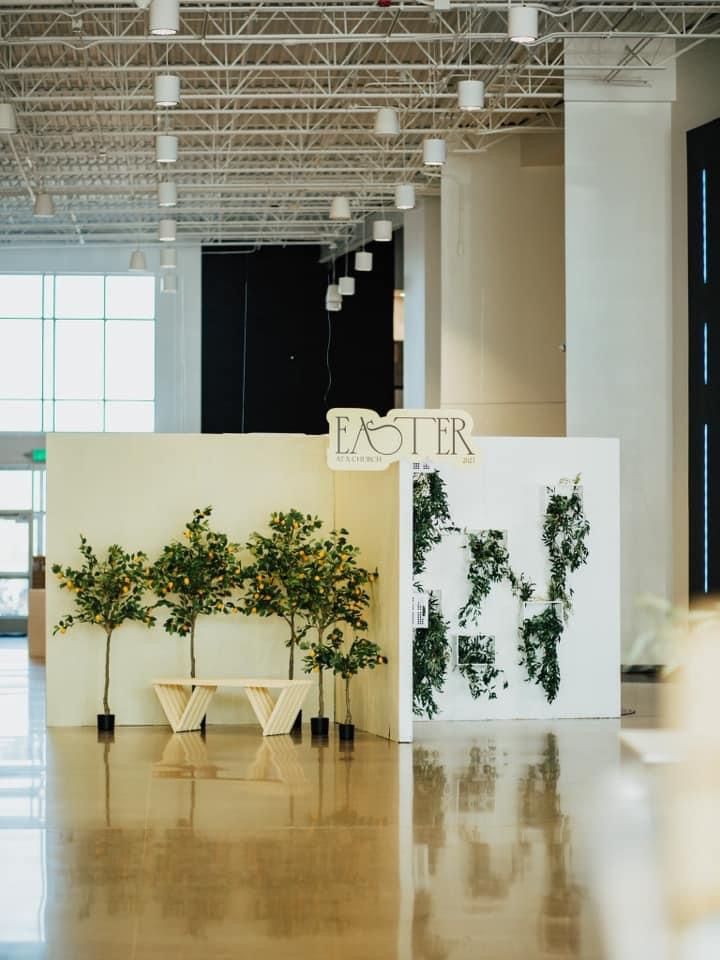 an empty room with plants on display in it