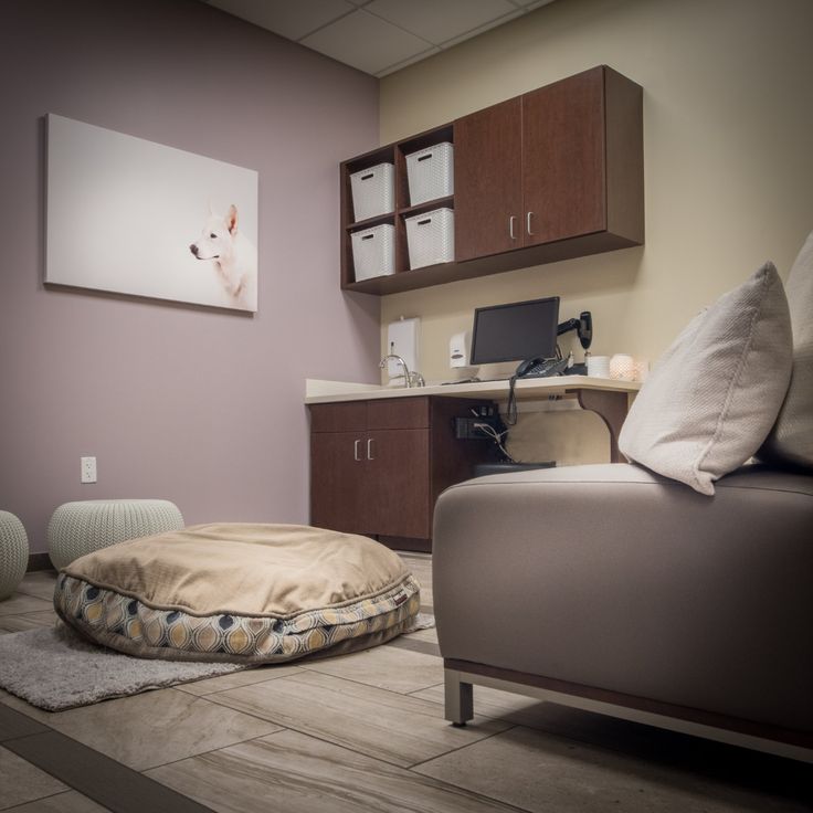 a dog bed in the middle of a room with a desk and cabinets behind it