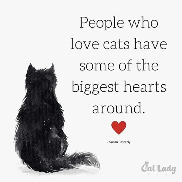 a black cat sitting on top of a white floor next to a quote that says people who love cats have some of the biggest hearts around