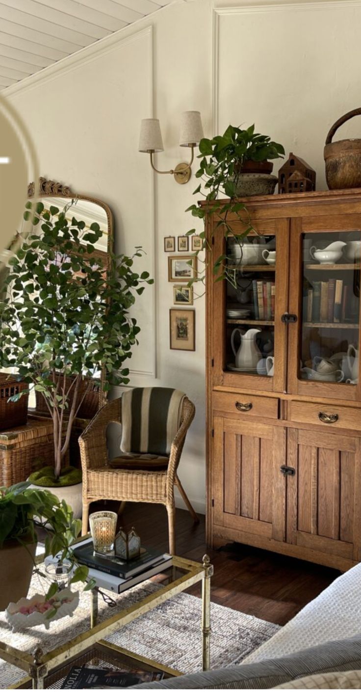 a living room filled with furniture and plants