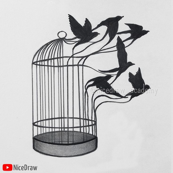 independence day drawing Birds In A Cage Drawing, Free Like A Bird Drawing, Bird Free From Cage Freedom, Bird Cage Drawing Sketches, Birds Flying Out Of Cage Tattoo, Bird Breaking Out Of Cage Tattoo, Bird Leaving Cage Tattoo, Locked Up Drawing, Caged Tattoo