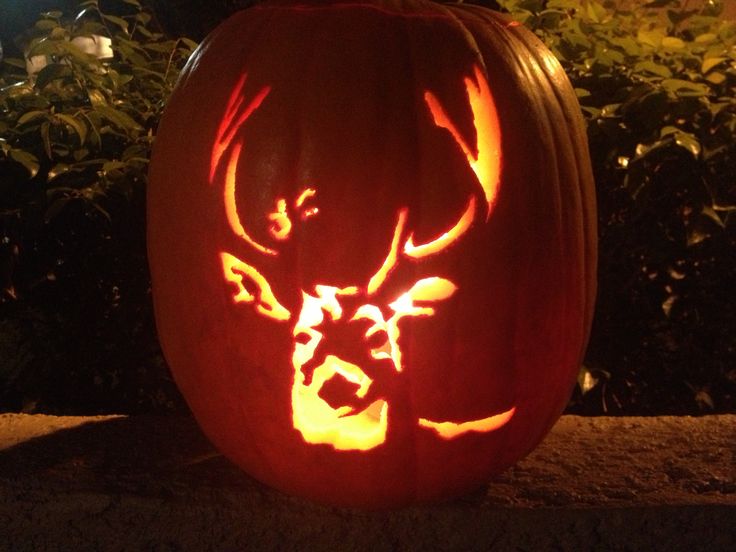 a carved pumpkin with an image of a deer on it's face and antlers