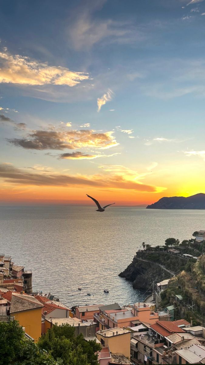 a bird flying over the ocean at sunset with buildings in the foreground and mountains in the background