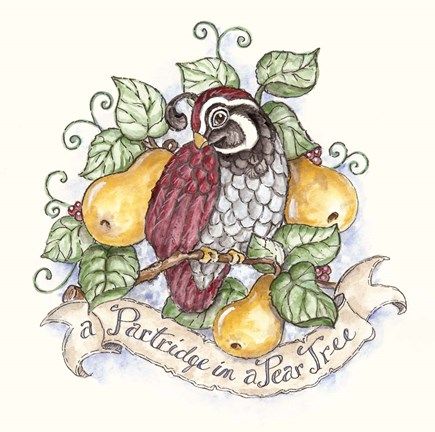 an owl sitting on top of pears and leaves with a banner around it that says partridge in a pear tree