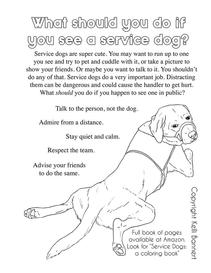 a black and white drawing of a dog with the caption what should you do if you see a service dog?