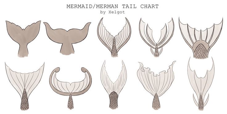 an image of mermaid tail cliparts on white paper with the words mermaid's tail