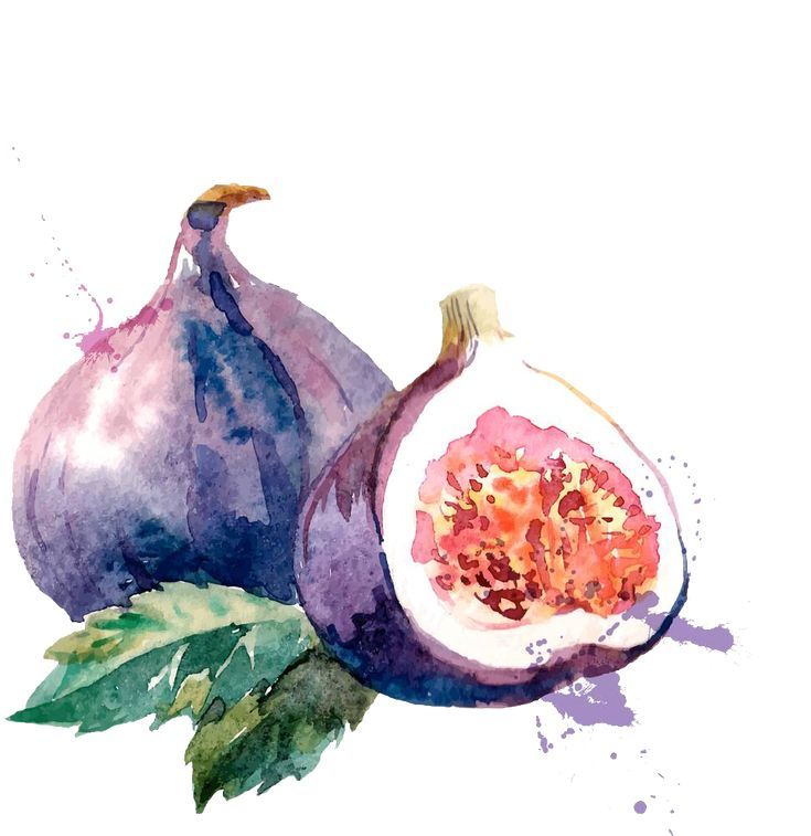 a watercolor painting of a pomegranate with leaves