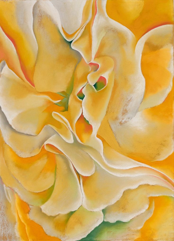 a painting of a yellow flower with white petals