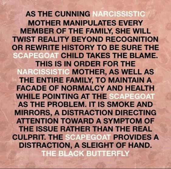 Scapegoat Definition: Warning signs within the Narcissist Family Parental Rejection, Scapegoat Child, Controlling Parents, Deadbeat Parents, Family Scapegoat, Emotional Vampire, Narcissistic Family, Narcissistic People, Narcissistic Parent