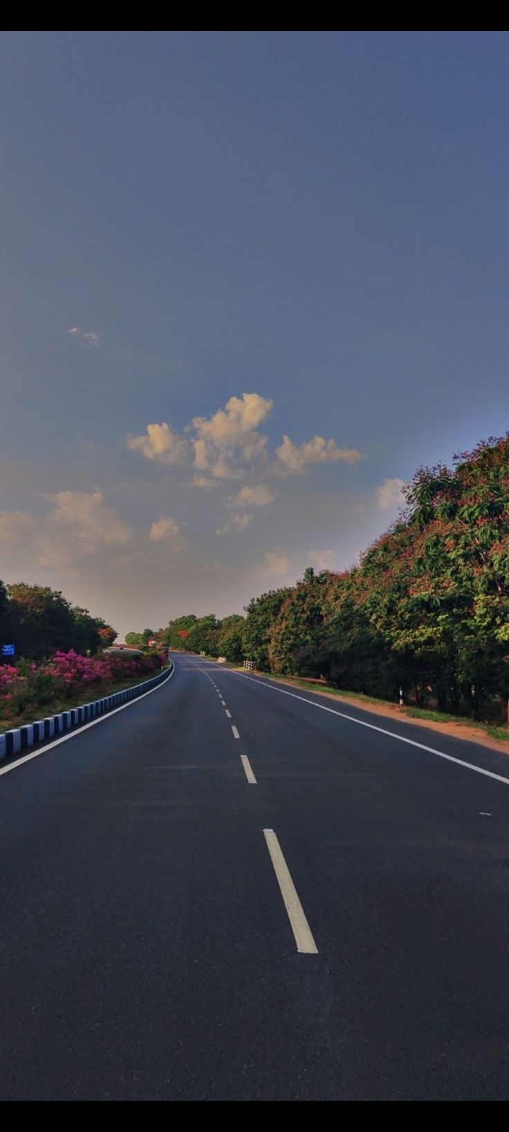 an empty road with trees and bushes on both sides under a blue sky in the distance