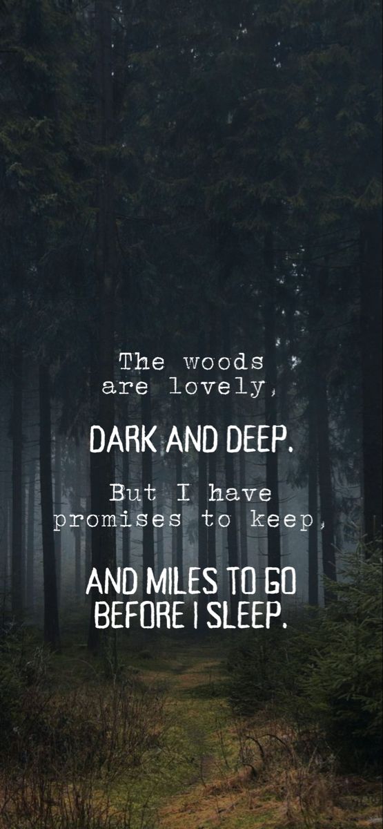 the woods are lovely dark and deep but i have promise to keep, and miles to go before i sleep