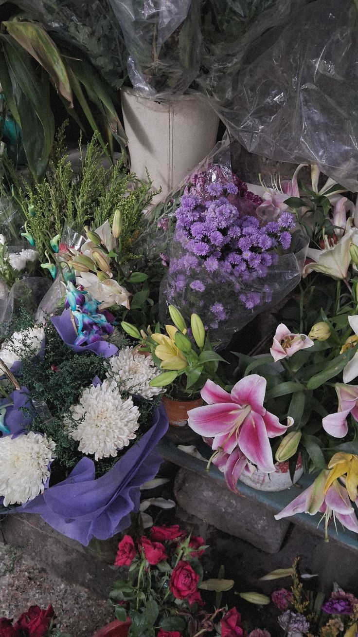 many different types of flowers are on display