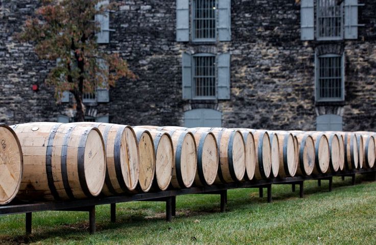 rows of wine barrels lined up in front of an old brick building on the grass