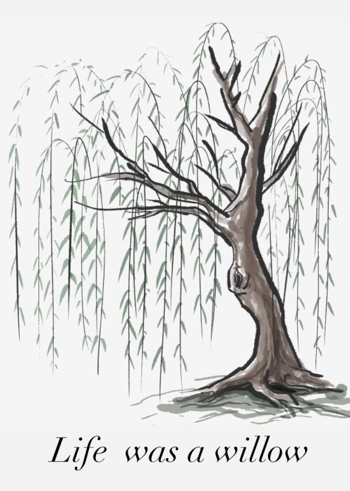 Willow tree Taylor Swift Willow, Weeping Willow Tattoo, Ink Cartoon, Tree Drawing Simple, Weeping Trees, Tree Doodle, Weeping Willow Tree, Tree Drawings Pencil, Simple Tattoo Designs