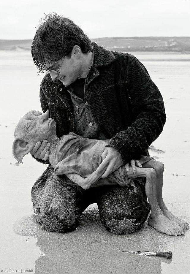 a man sitting on the beach holding two small puppies in his lap and looking down at them