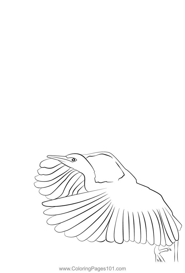 a black and white drawing of a bird flying