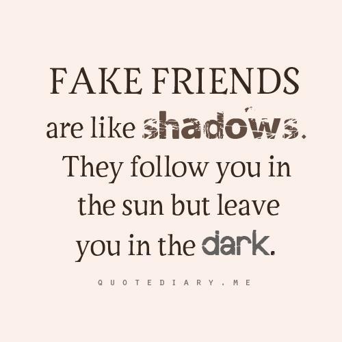 a quote that reads fake friends are like shadows they follow you in the sun but leave you