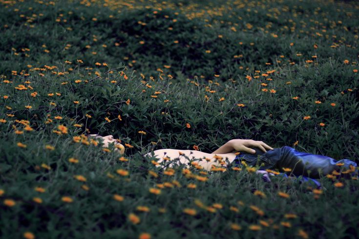 two people are laying in the grass with flowers around them and one person is reaching for something