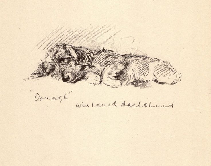 a drawing of a dog laying down with its head on the ground and his eyes closed