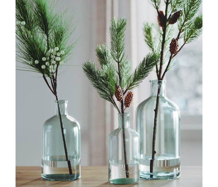 three glass vases with plants in them on a table