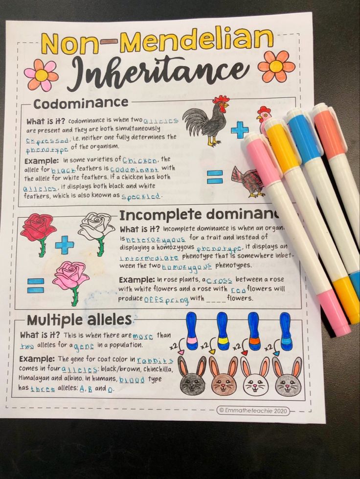 three markers are sitting on top of a piece of paper with information about non - mendelian interference