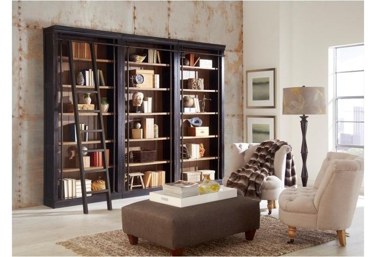 a living room filled with furniture and bookshelves