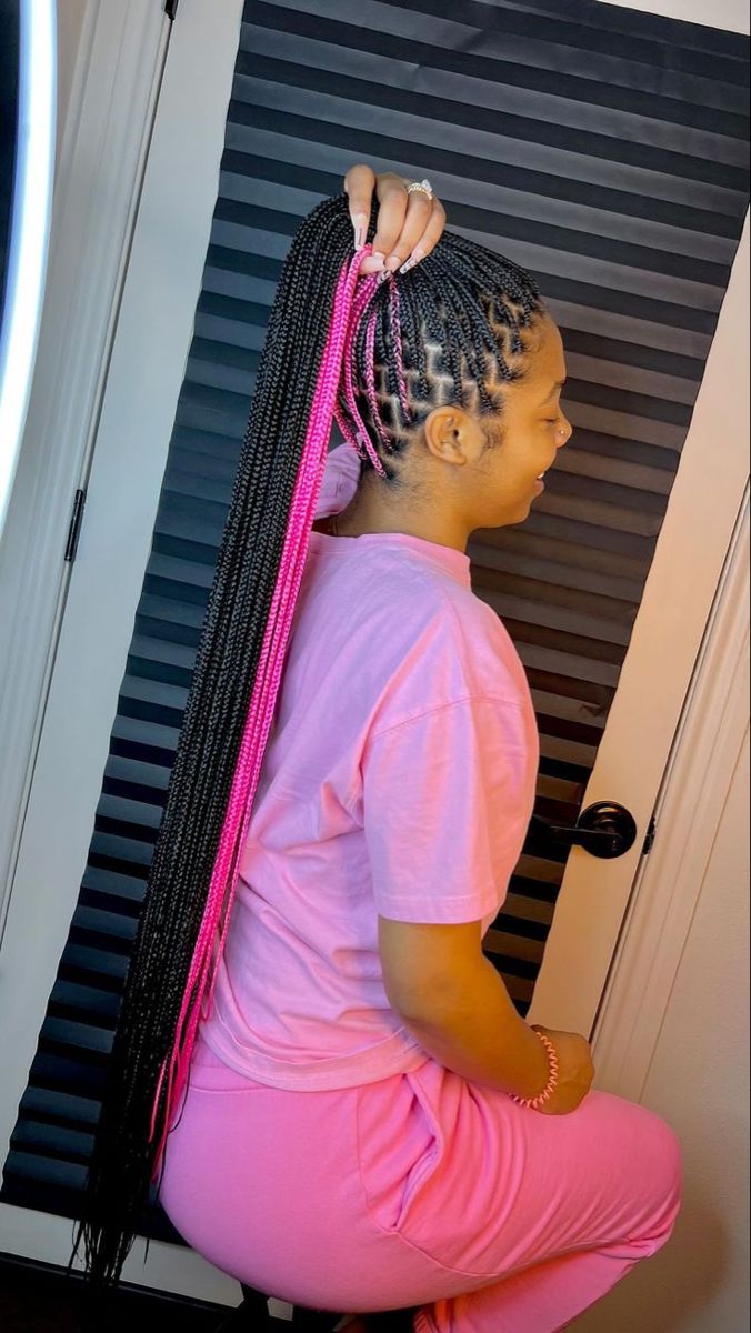 Pink Nd Black Braids, Pink And Black Small Knotless Braids, Braided French Braids Black Hair, Pink Pikaboo Braids, Pink Peekaboo Highlights Braids, Peak A Boo Braids Pink, Pink And Black Peakaboo Braids, Skunk Patch Braids, Hot Pink Peekaboo Braids