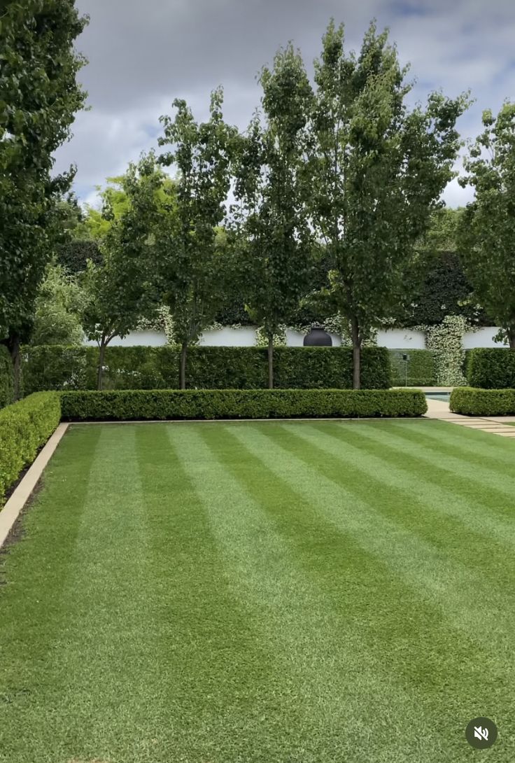 a lush green lawn surrounded by hedges and trees