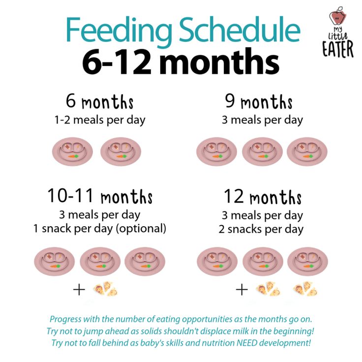 the feeding schedule is shown with instructions for how to feed your baby in 6 months