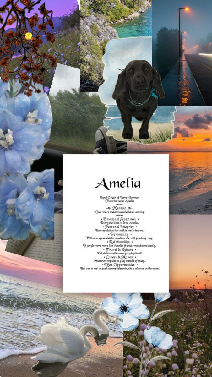 a collage of pictures with flowers, birds and water in the background at sunset