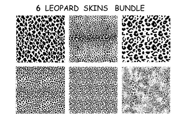 six leopard skin patterns in black and white, with the words leopard skins bundle on them